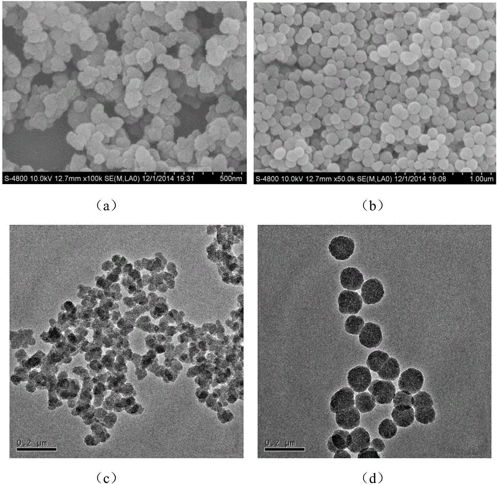 Mesoporous silica nanoparticle having two-photon absorption function and preparation method and application thereof