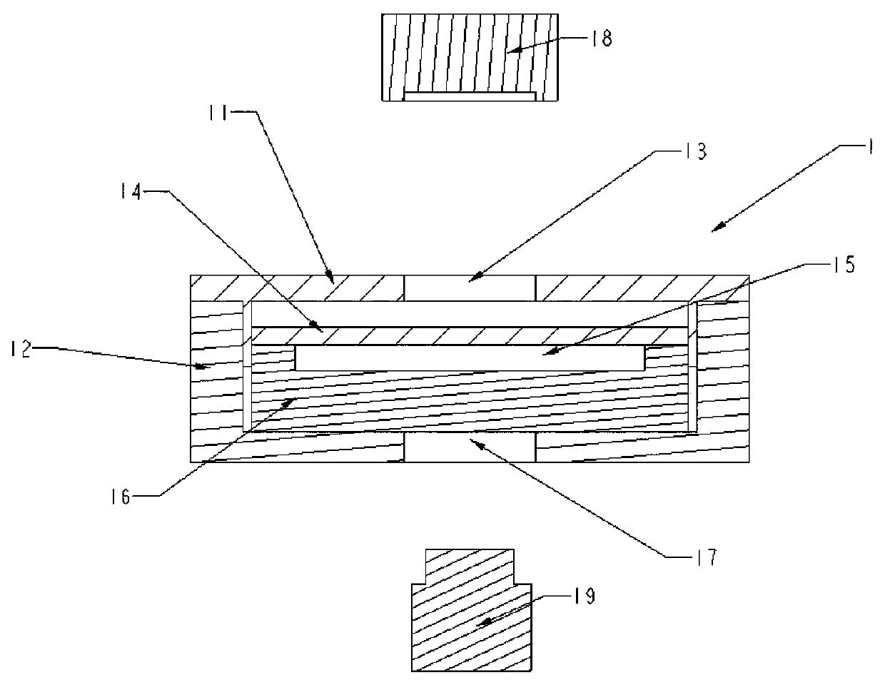 In-situ real time observation device with X-ray fluoroscopy