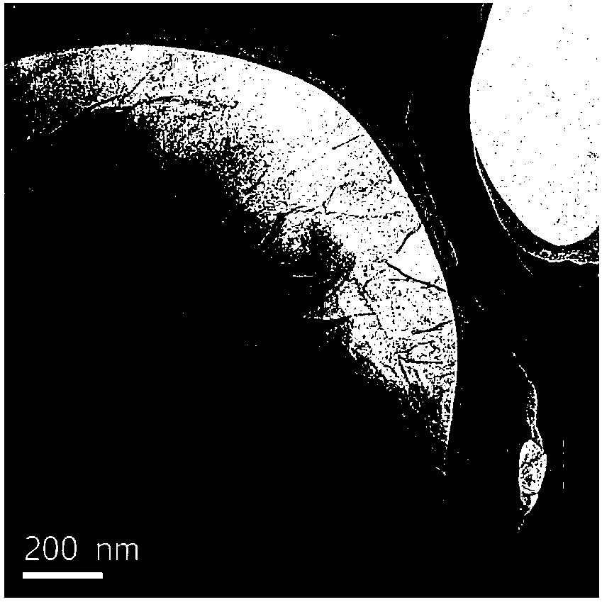 Tungsten disulfide/graphene oxide composite material and preparation method and application thereof