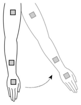 Limb length measuring method and device