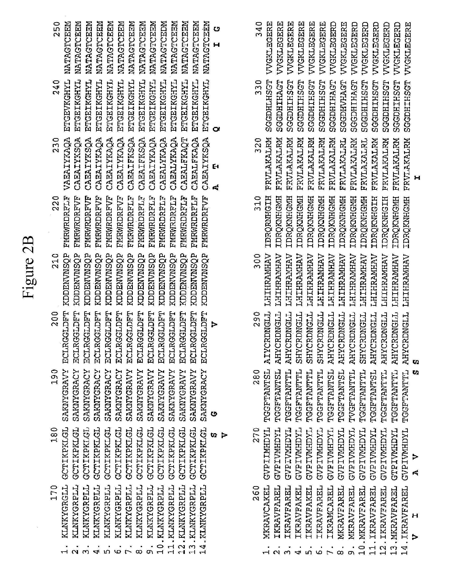 Methods of identifying and creating rubisco large subunit variants with improved rubisco activity, compositions and methods of use thereof