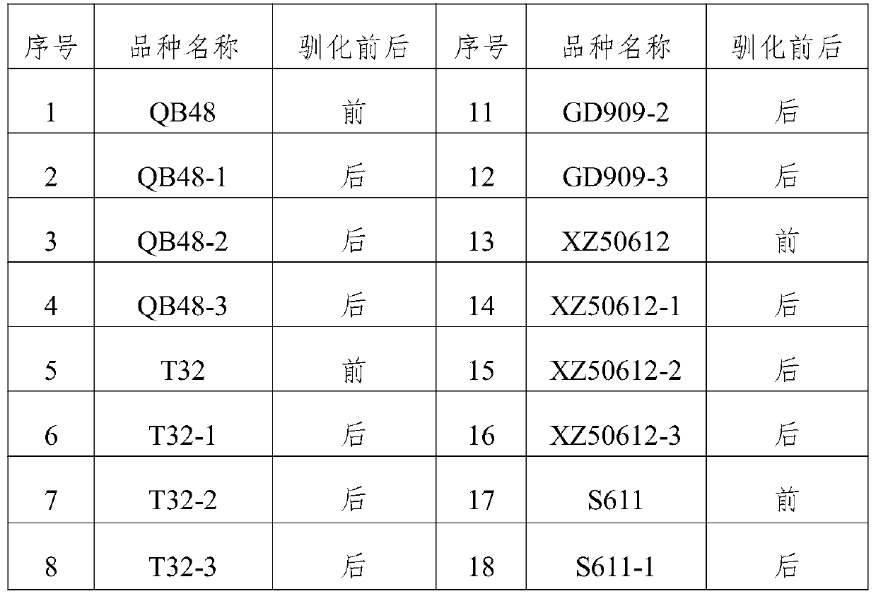 Method for passivating light sensitivity of corn Suwan selfing lines