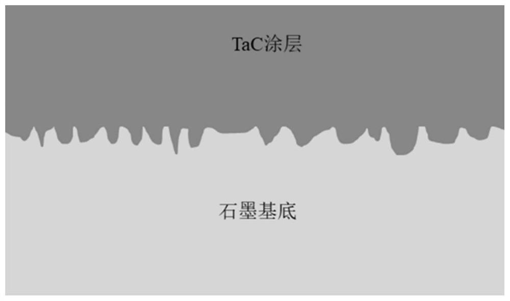 Surface treatment method of graphite substrate and preparation method of TaC coating