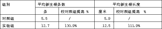 Rooting agent composition for slow-release peony transplantation