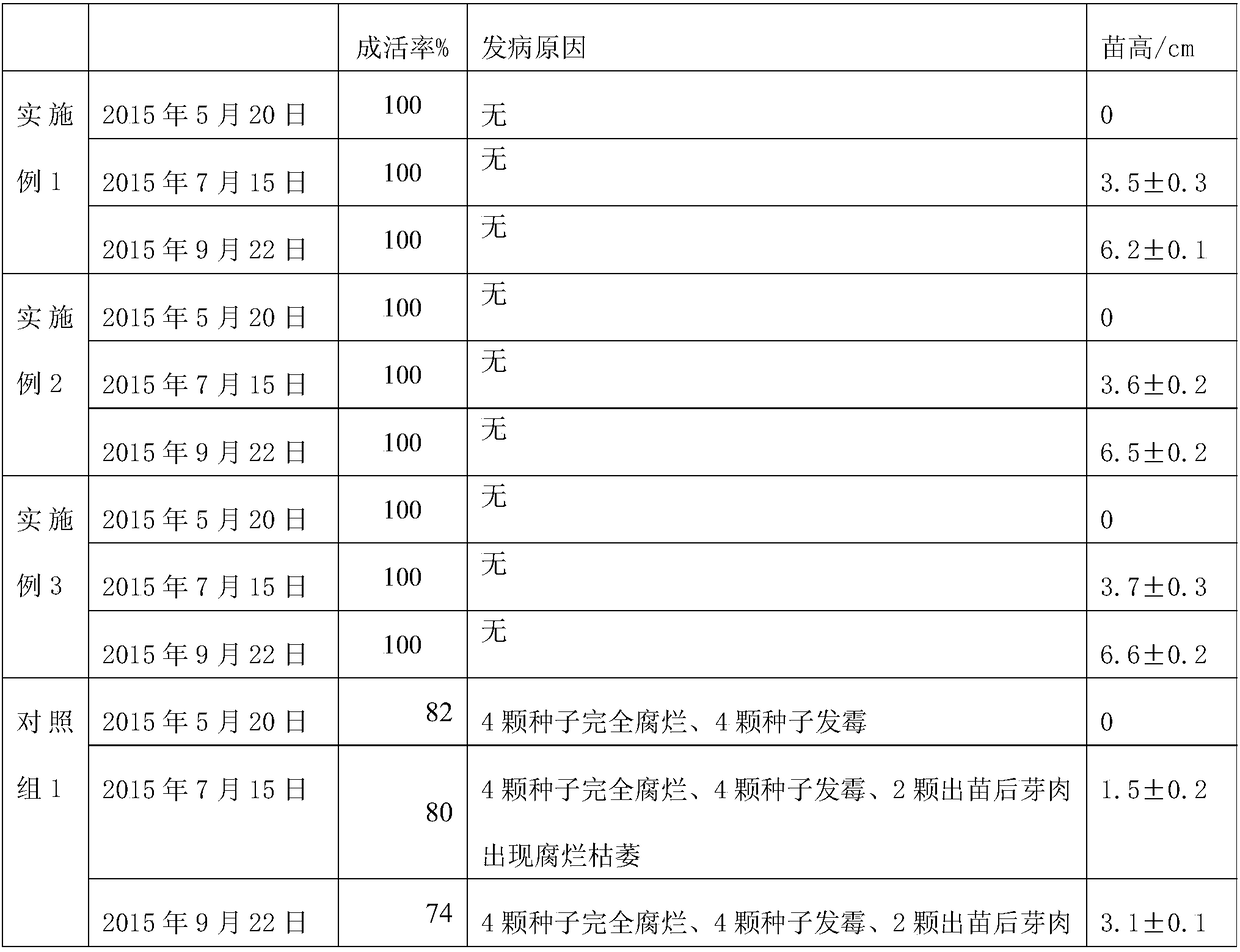 Cultivation method of cinnamomum cassia seedlings