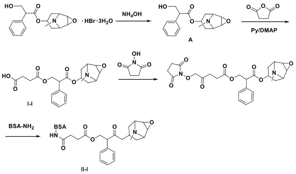 Artificial hapten and artificial antigen of scopolamine as well as preparation method and application of artificial hapten and artificial antigen