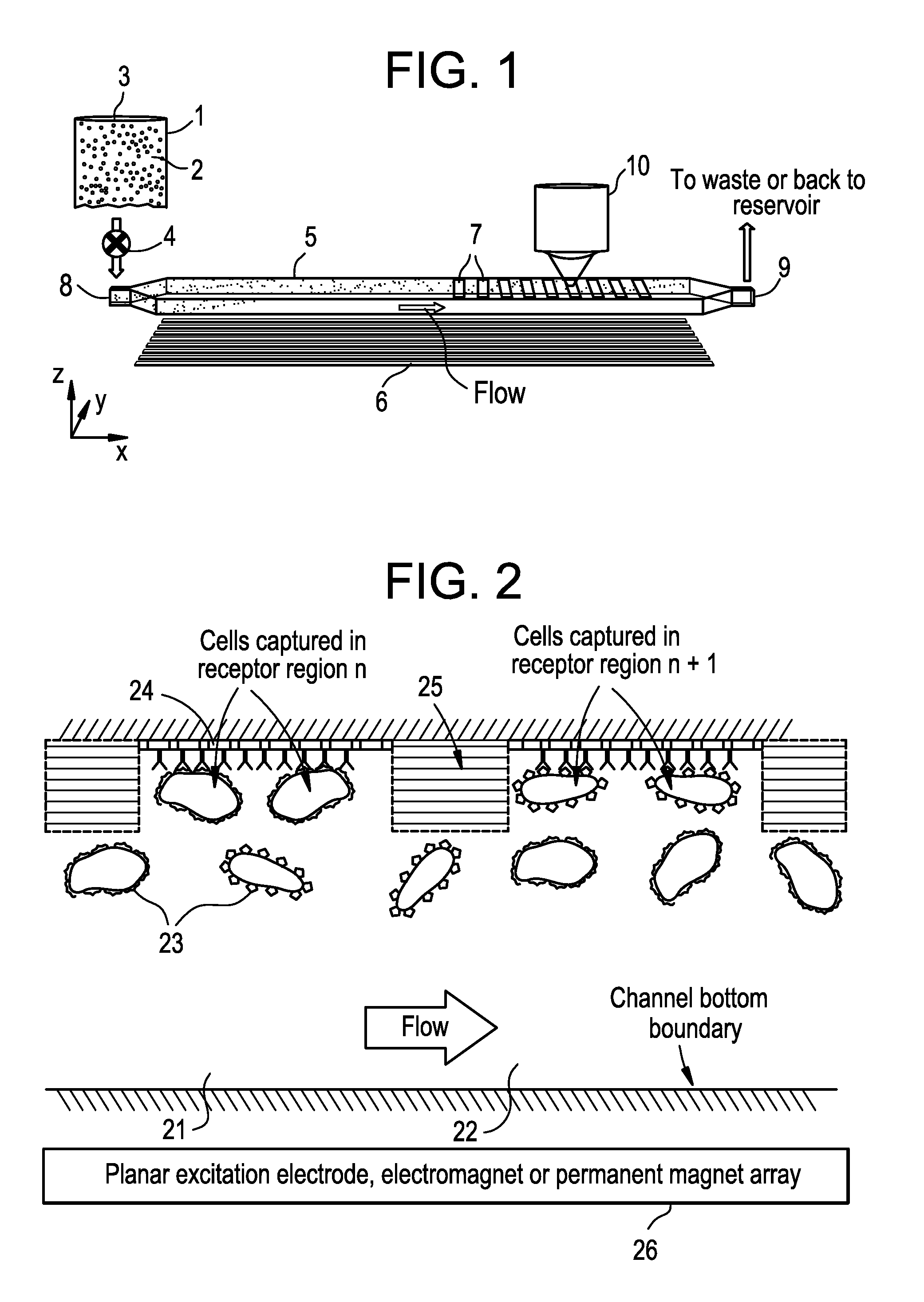 Methods and systems for drug discovery and susceptibility assay in using a ferrofluid