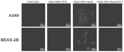 A fluorescent probe for detecting protein sulfhydrylation and its preparation method and application