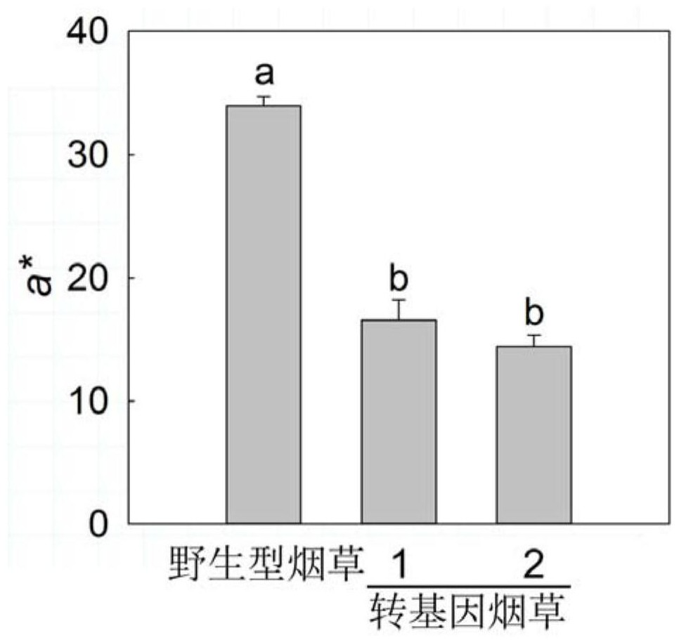 Application of pltdc Gene of Paeoniae Alba in Changing Flower Color of Plants