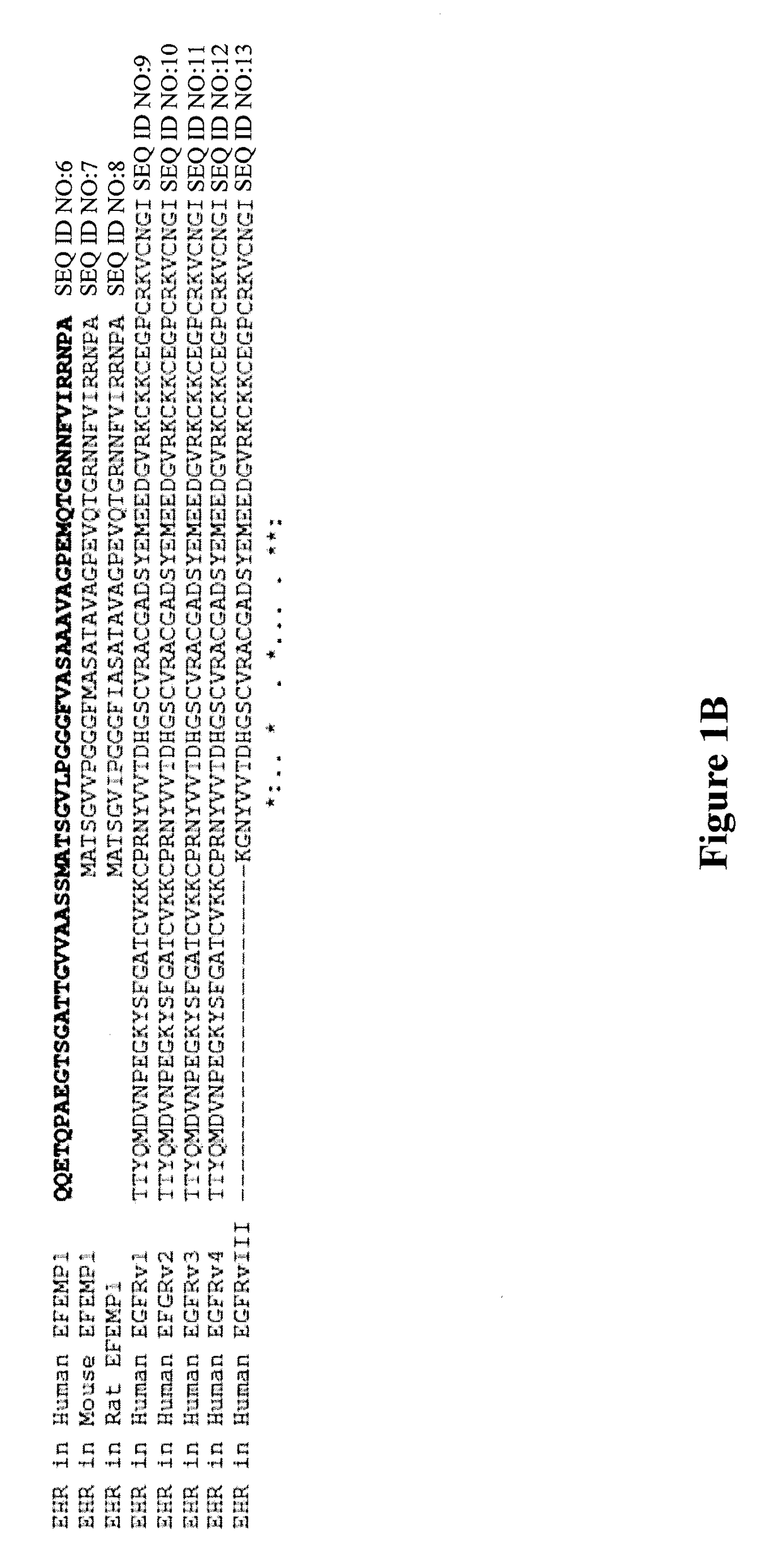 Fibulin protein variants and corresponding nucleic acid sequences