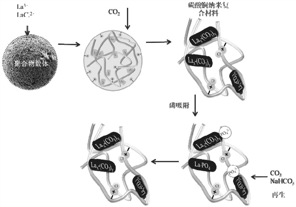 A polymer-based nano-lanthanum carbonate material, preparation method, application and regeneration method