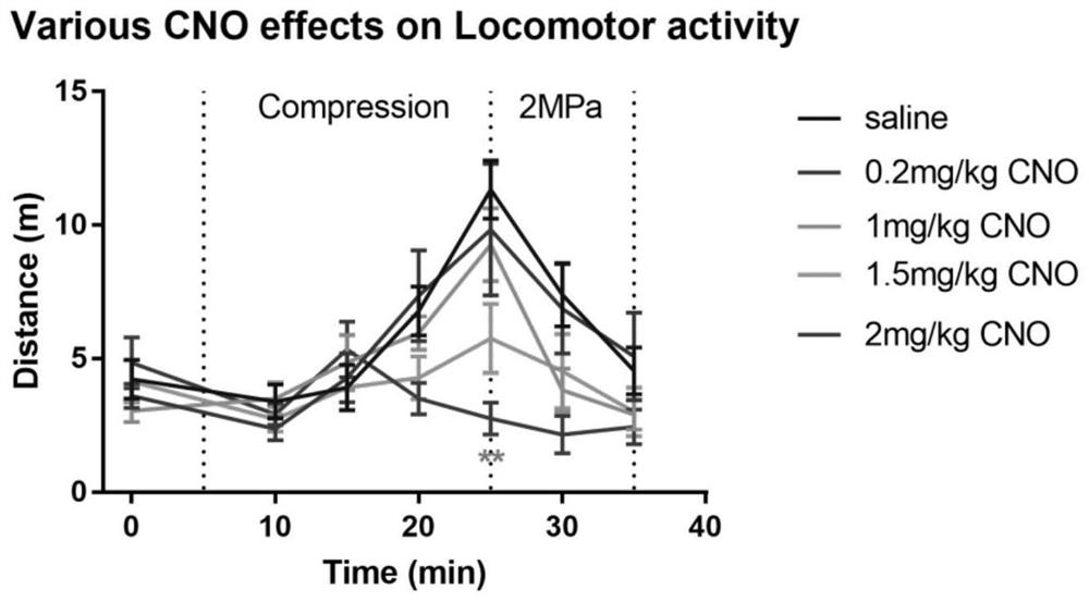 Application of N-clozapine oxide in preparation of medicine for preventing and treating nitrogen anesthesia