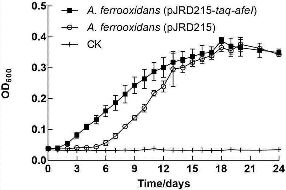 Method for effectively enhancing sulfur oxidation performance of acidithiobacillus ferrooxidans
