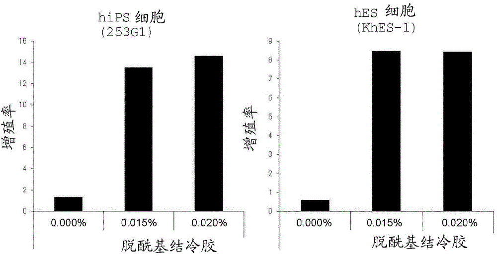 Culture medium composition, and method for culturing cell or tissue using said composition