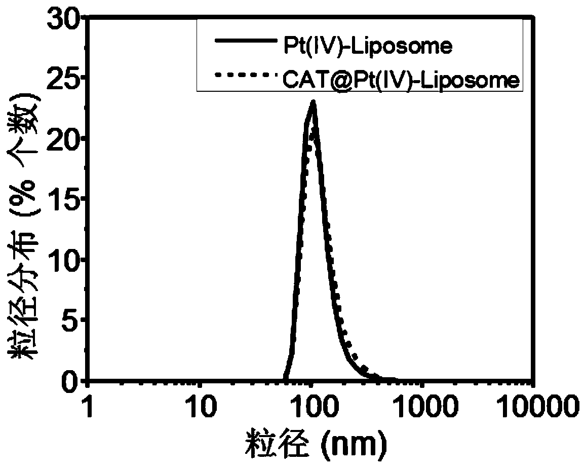 A kind of hypoxia-improved cisplatin prodrug liposome preparation and its preparation method and application