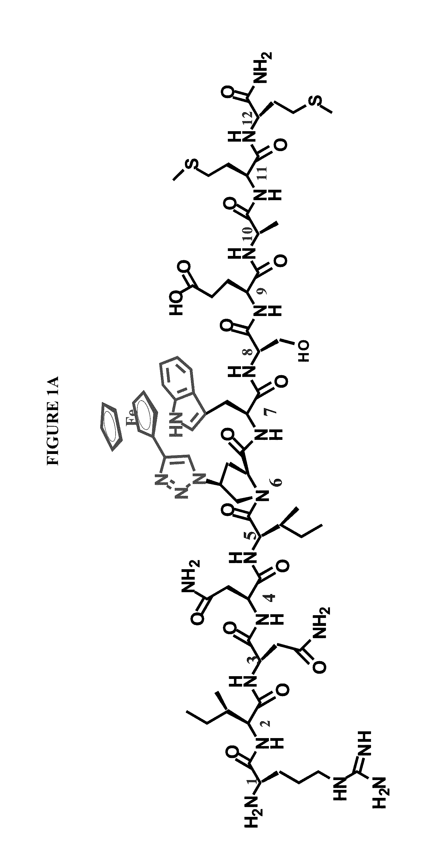 Active Cores of Peptide Triazole HIV-1 Entry Inhibitors