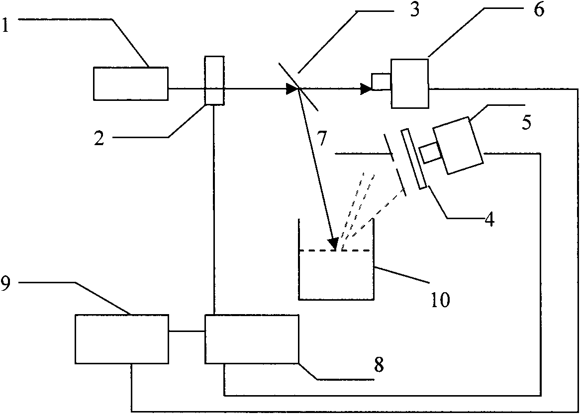 Petroleum-type pollutant detection system and detection method