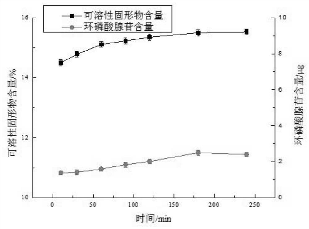 Method for preparing red jujube beverage through lactobacillus complex fermentation