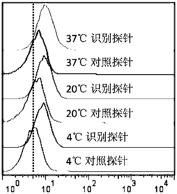 Nucleic acid aptamer probe, device and application for tumor cell detection