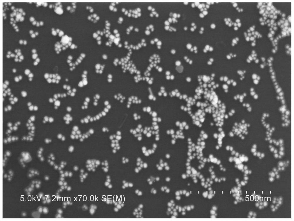 Graphene quantum dot functionalized nanogold and preparation method and application thereof