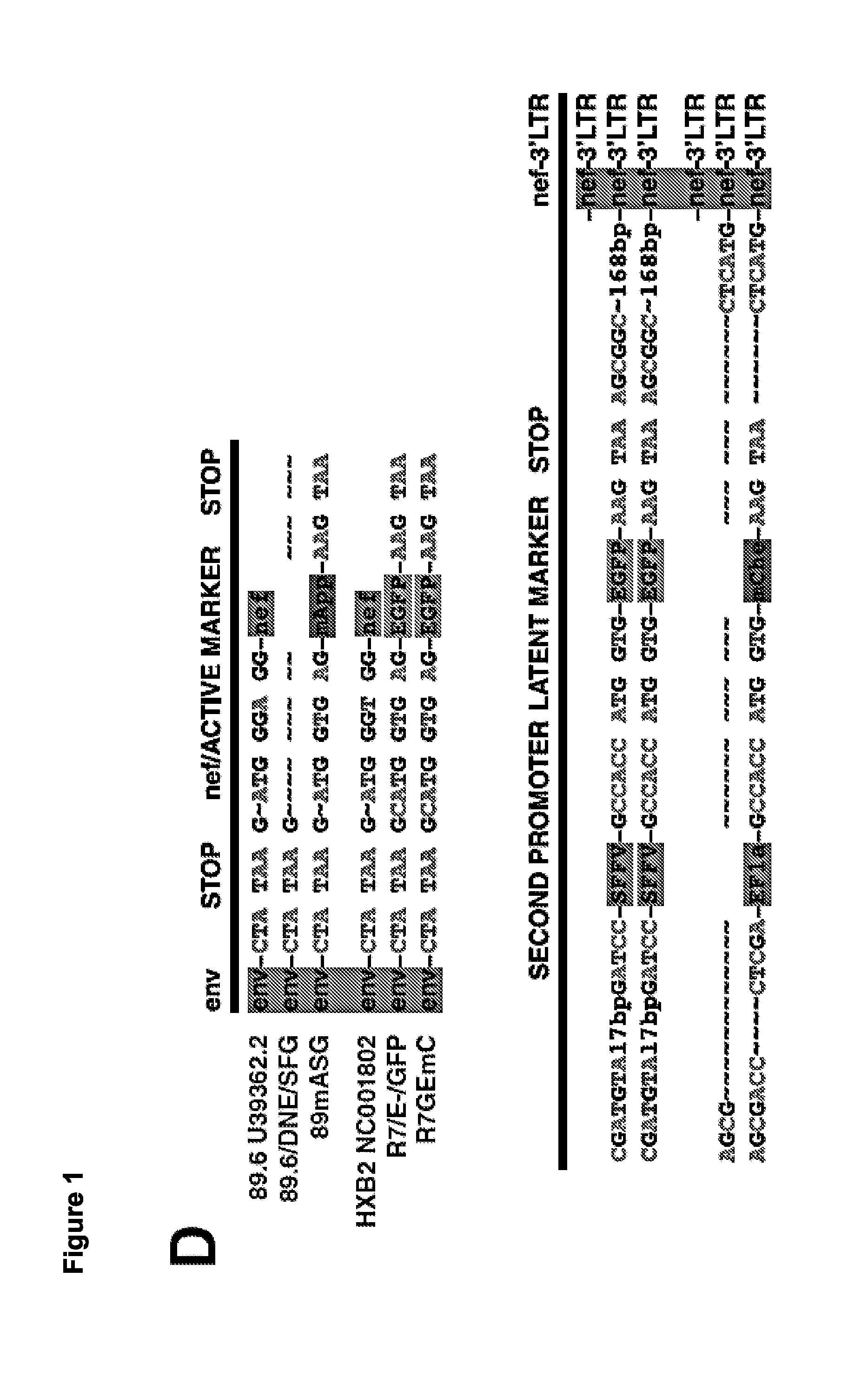 Compositions and methods for identifying latently infected cells