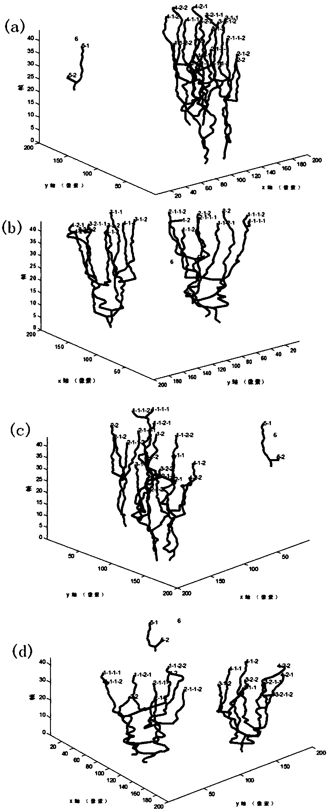 Double-layer dobernoulli stochastic finite ant colony multicellular tracking method