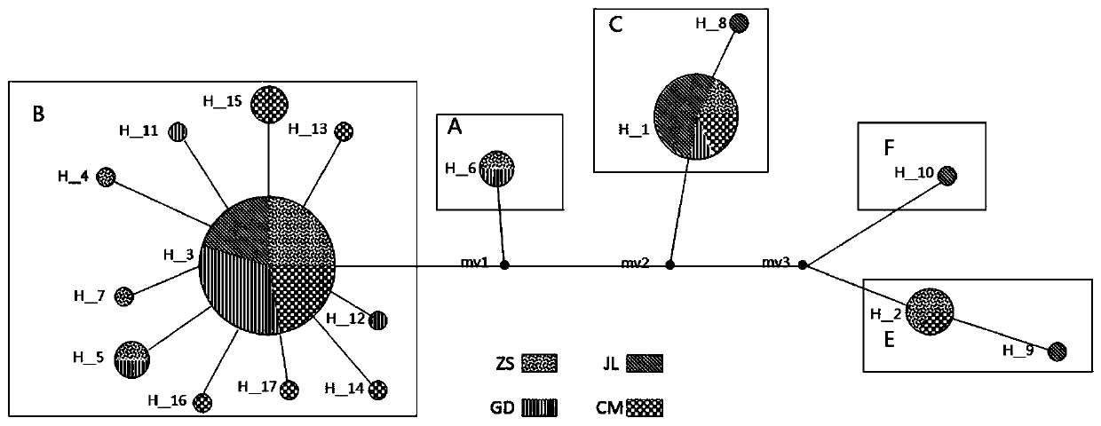 A screening method for chicken breeding materials