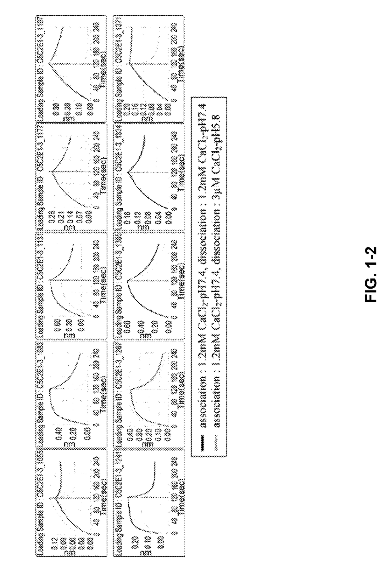 A Combination of Two or More Anti-C5 Antibodies and Methods of Use