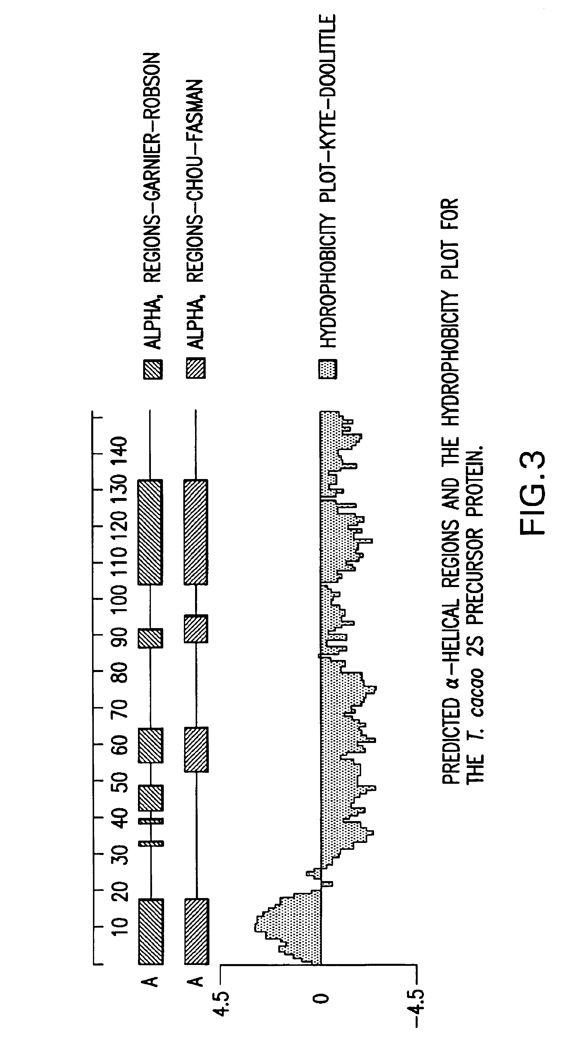 Cocoa albumin and its use in the production of cocoa and chocolate flavor
