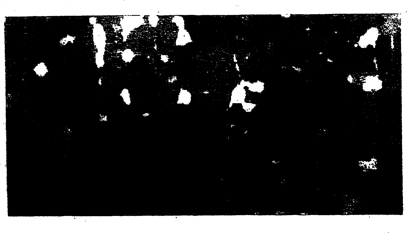 Terminal having surface layer , and part and product having the same
