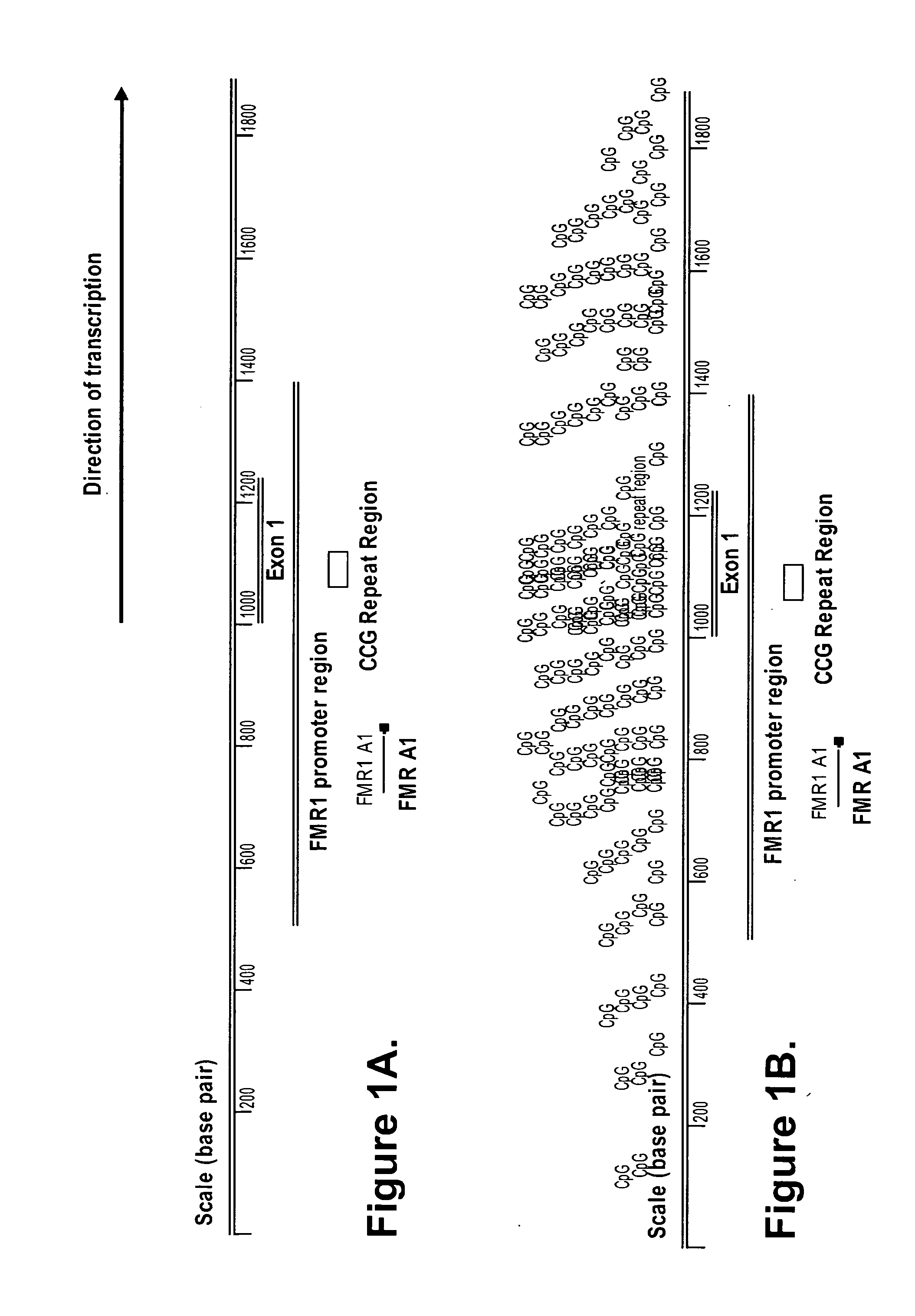 Detection of nucleic acid sequences adjacent to repeated sequences