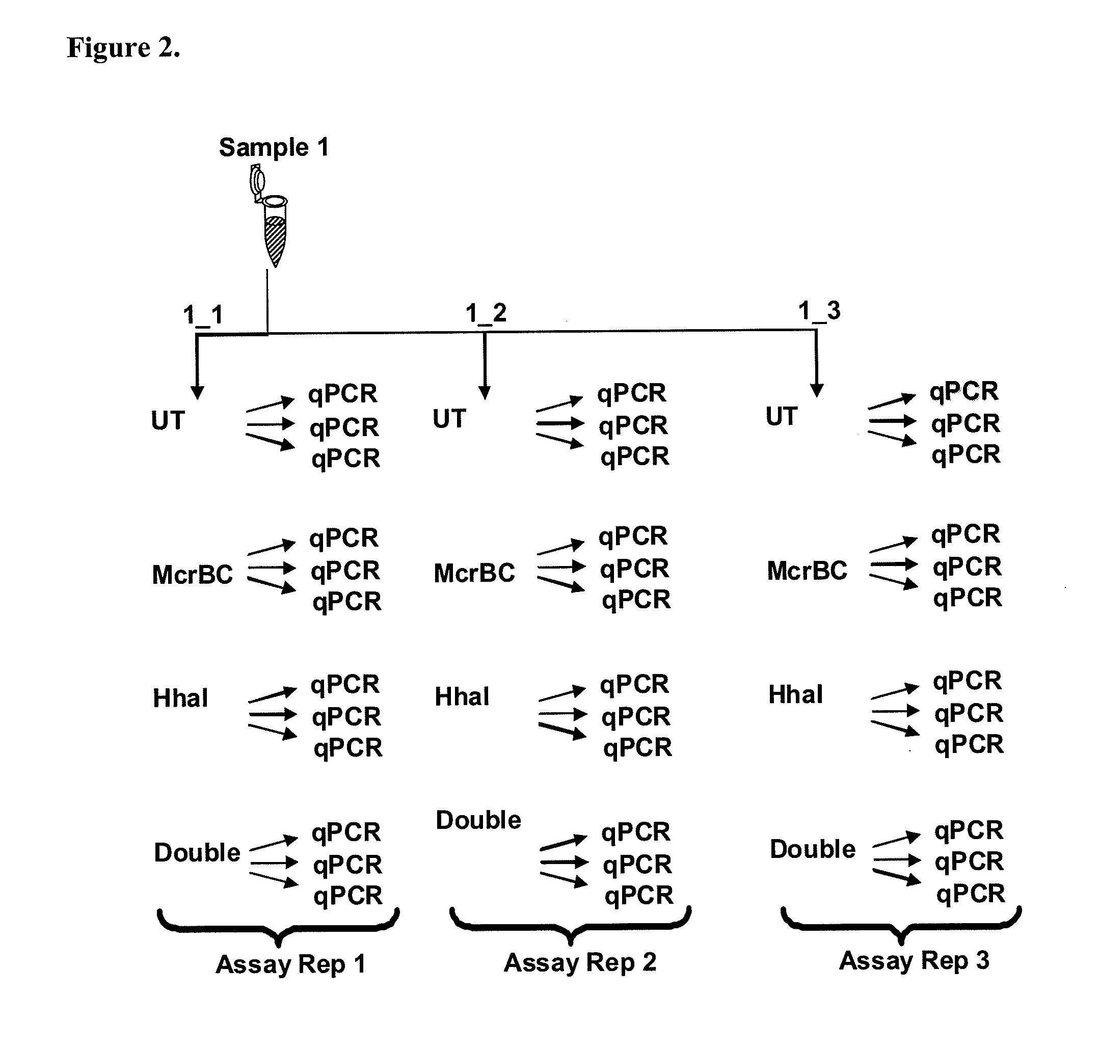 Detection of nucleic acid sequences adjacent to repeated sequences