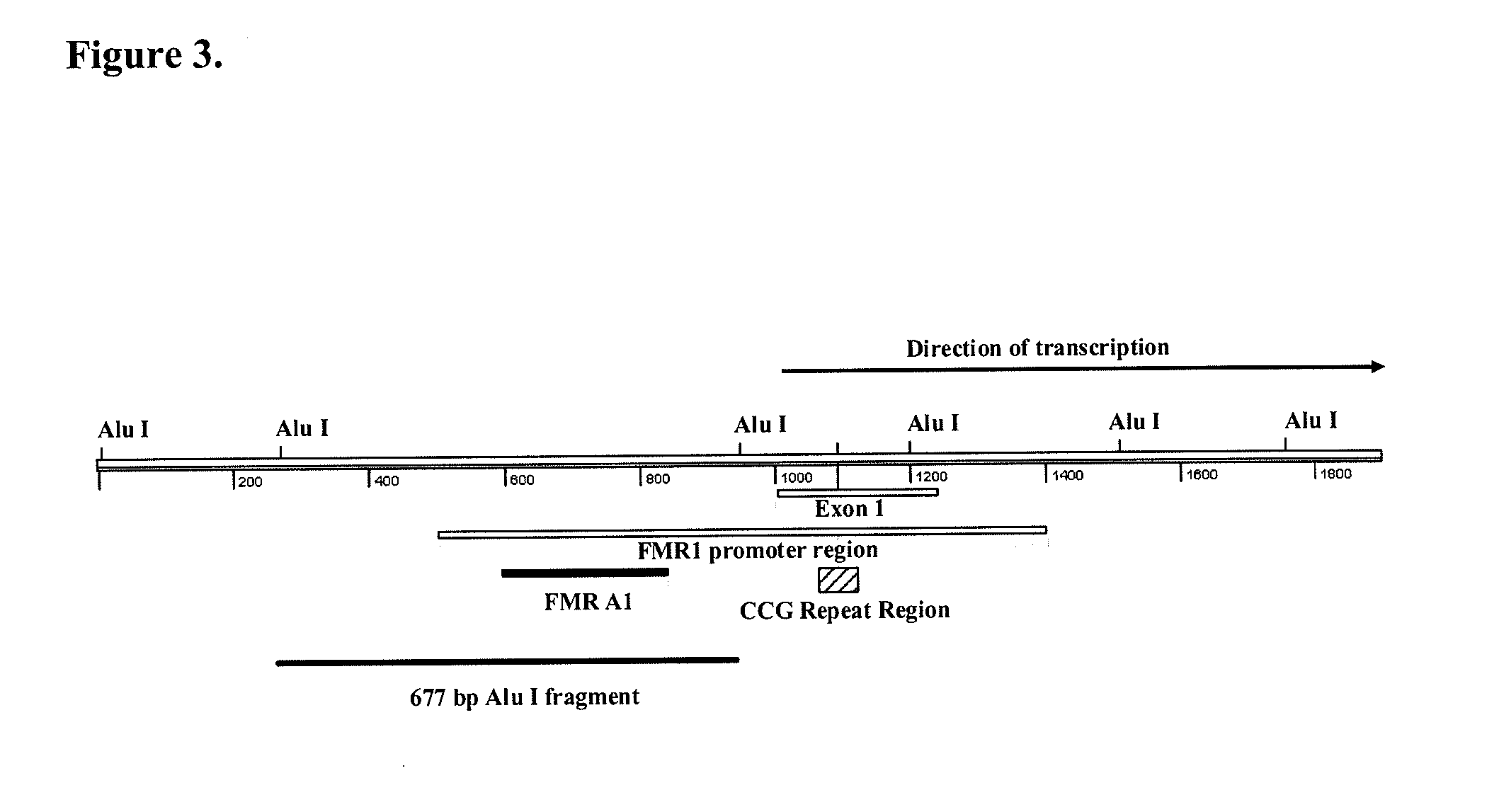 Detection of nucleic acid sequences adjacent to repeated sequences