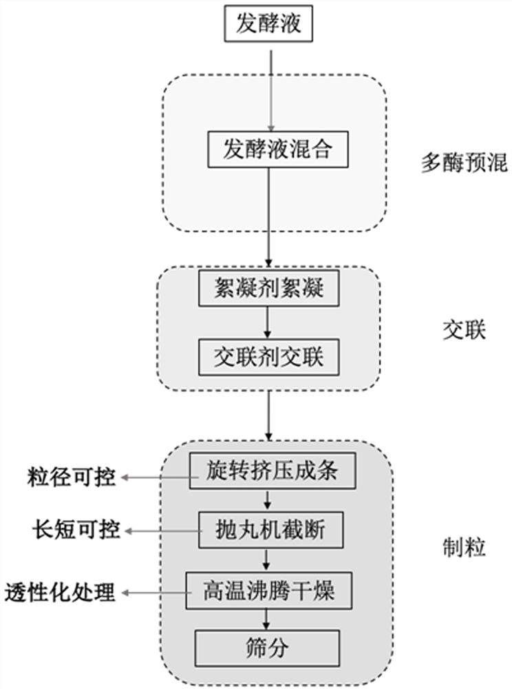 Preparation method and application of immobilized cells for mannose production