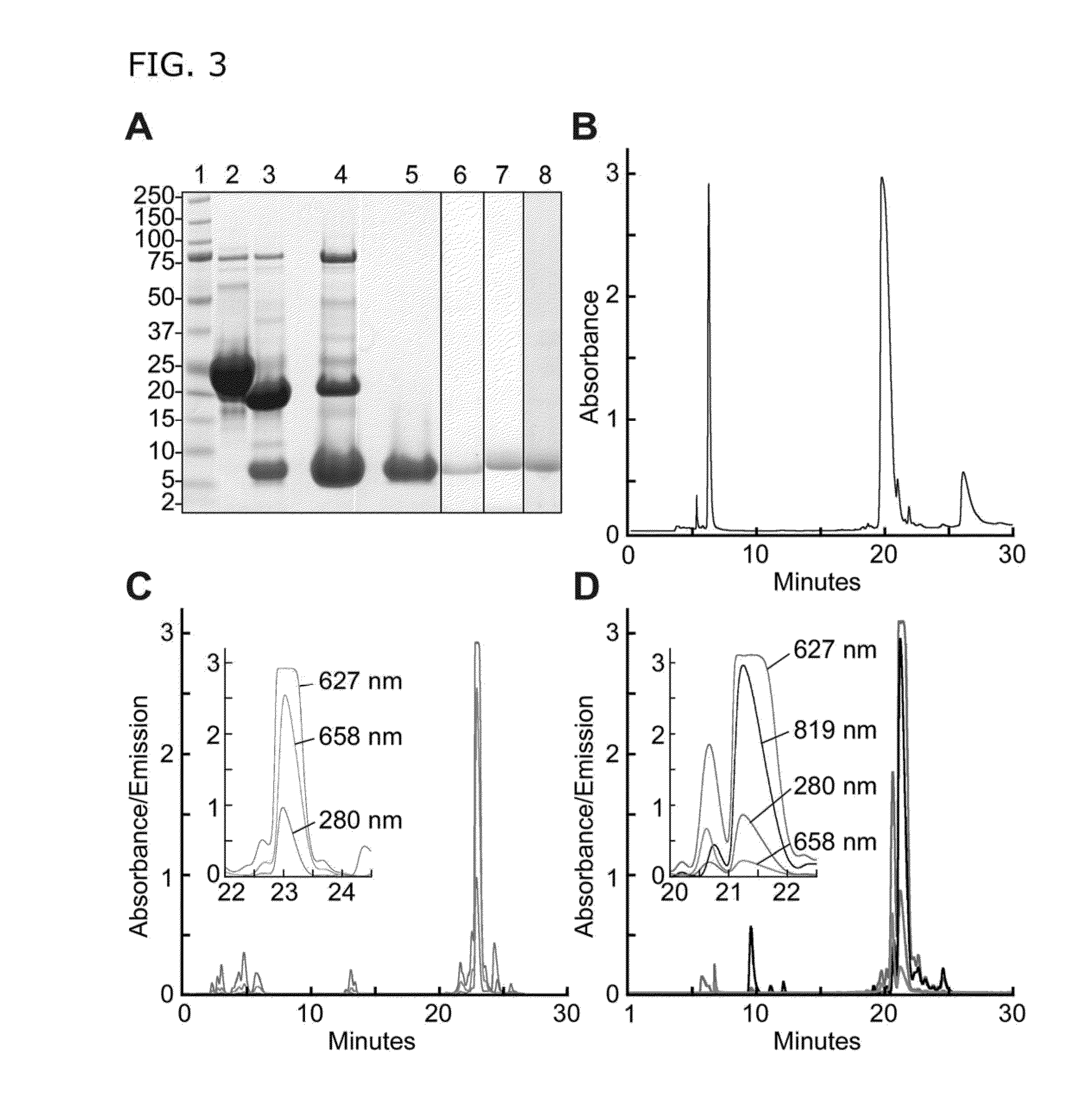 Fluorogenic substrate for ADAMTS13