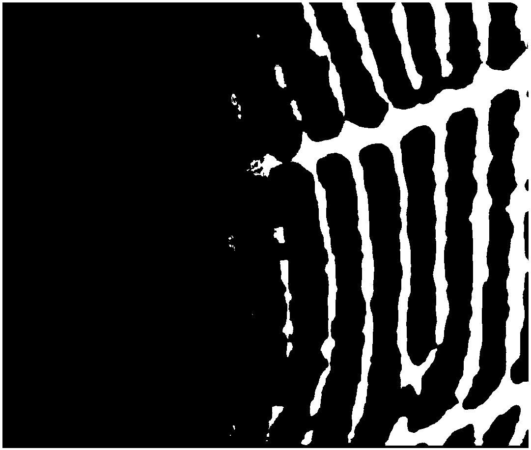 Self-adaptive fingerprint image adjusting method