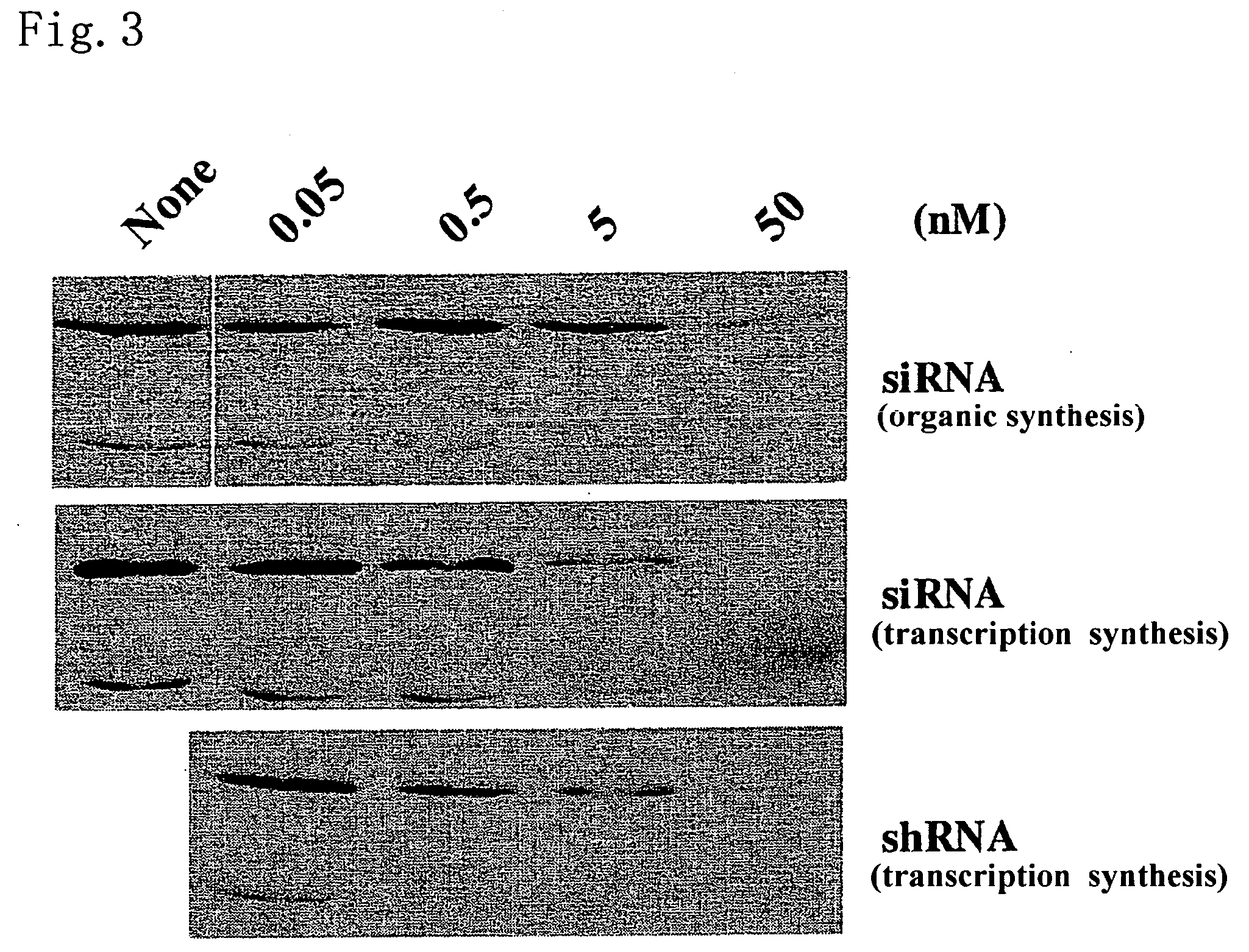 Process for producing sirna