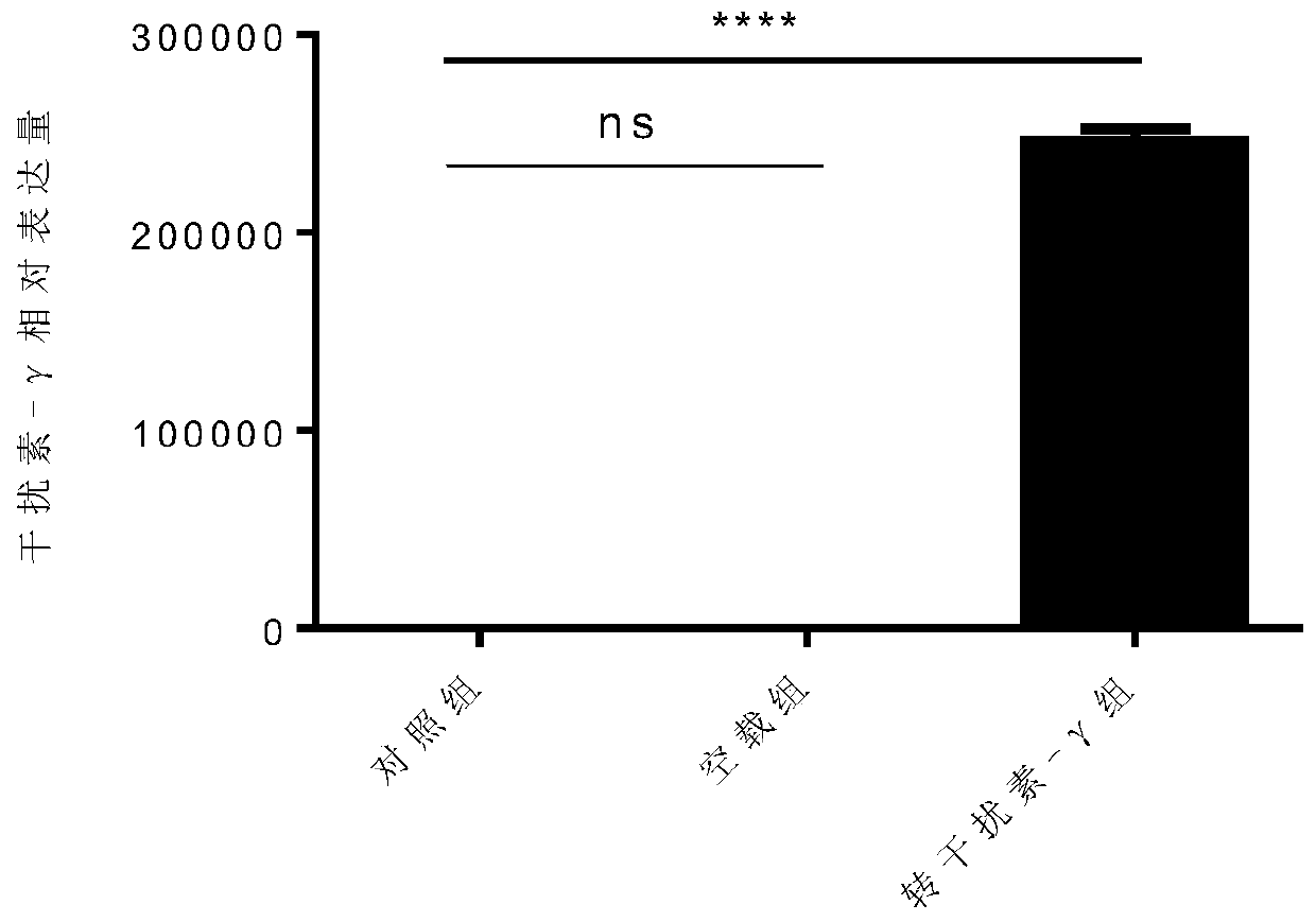 Mesenchymal stem cells capable of continuously over-expressing IFN-gamma and application thereof