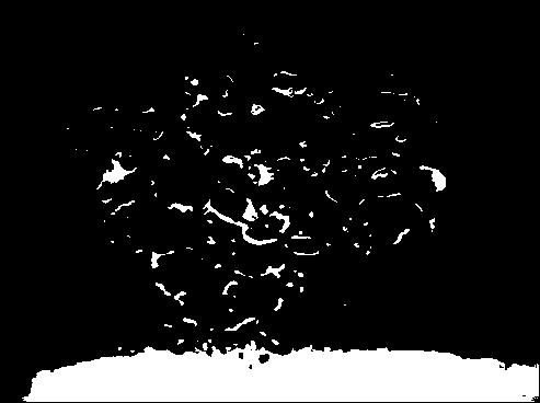 Cosmetic containing crushed-ice solids and preparation method thereof