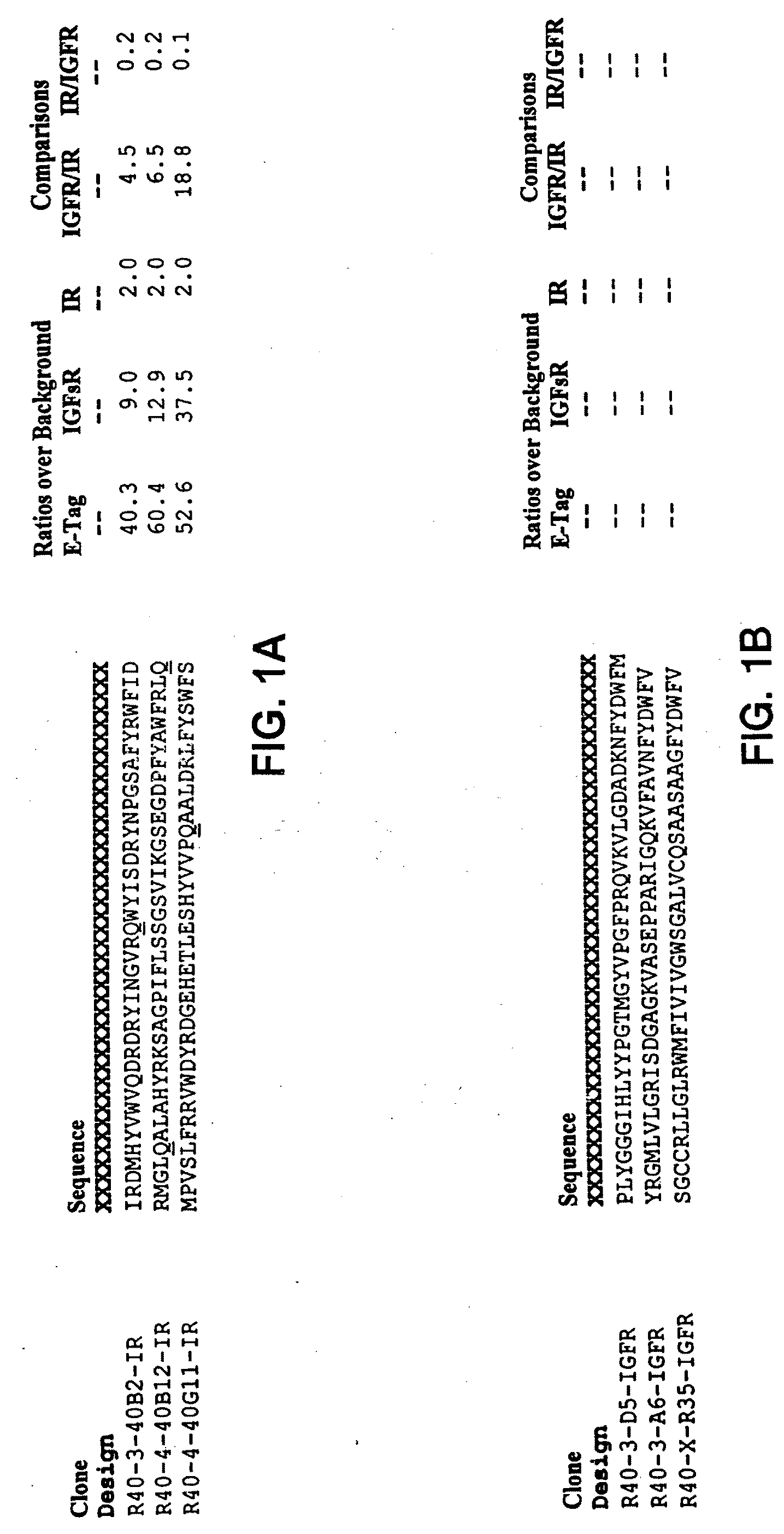 Insulin and IGF-1 Receptor Agonists and Antagonists