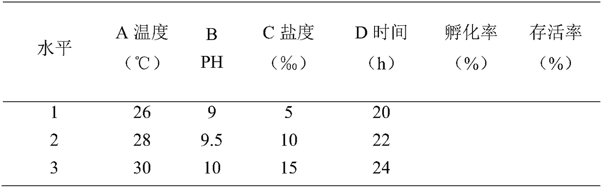 Improved brine shrimp hatching and collecting method
