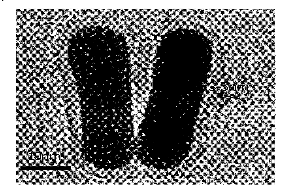 Gold nano-bar based medicine carrier and preparation technique and use thereof