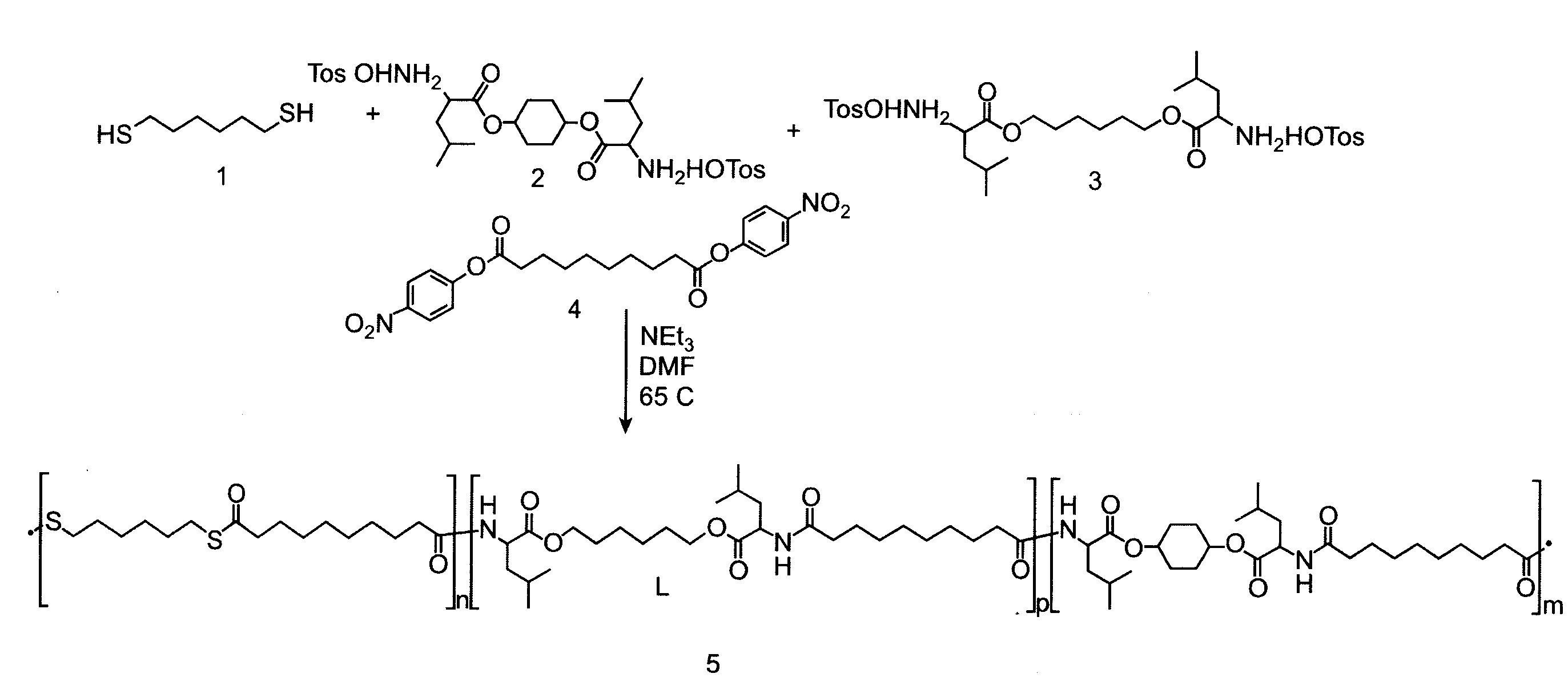 Thioester-ester-amide copolymers