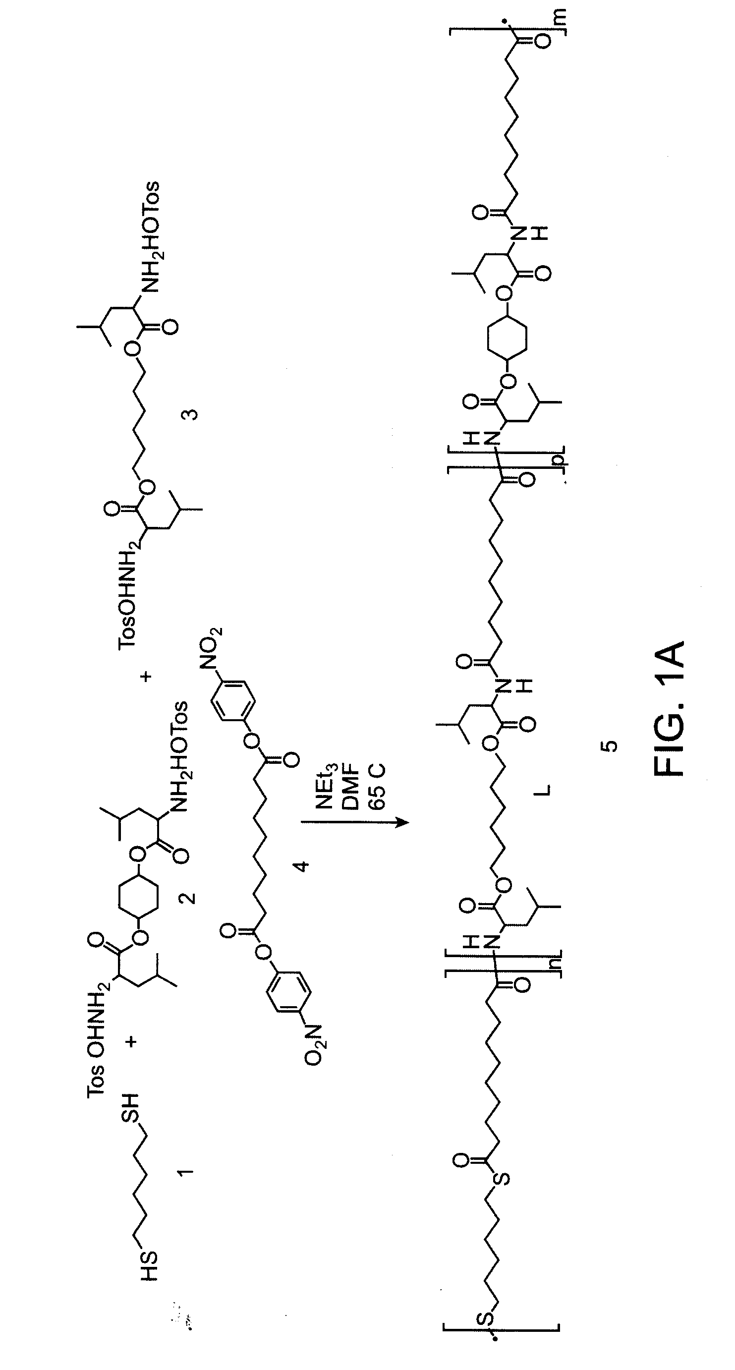 Thioester-ester-amide copolymers
