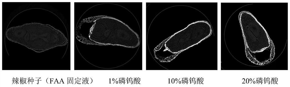 A Simple Method to Enhance the Contrast of Micro-CT Plant Samples