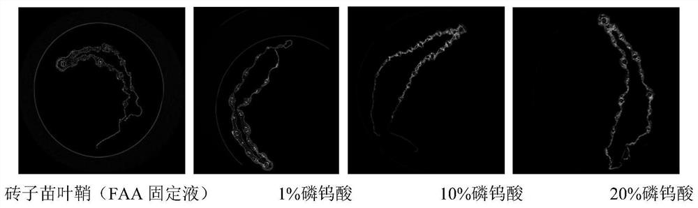 A Simple Method to Enhance the Contrast of Micro-CT Plant Samples