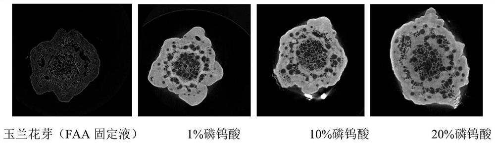 A Simple Method to Enhance the Contrast of Micro-CT Plant Samples