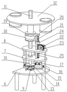 A zebrafish training device