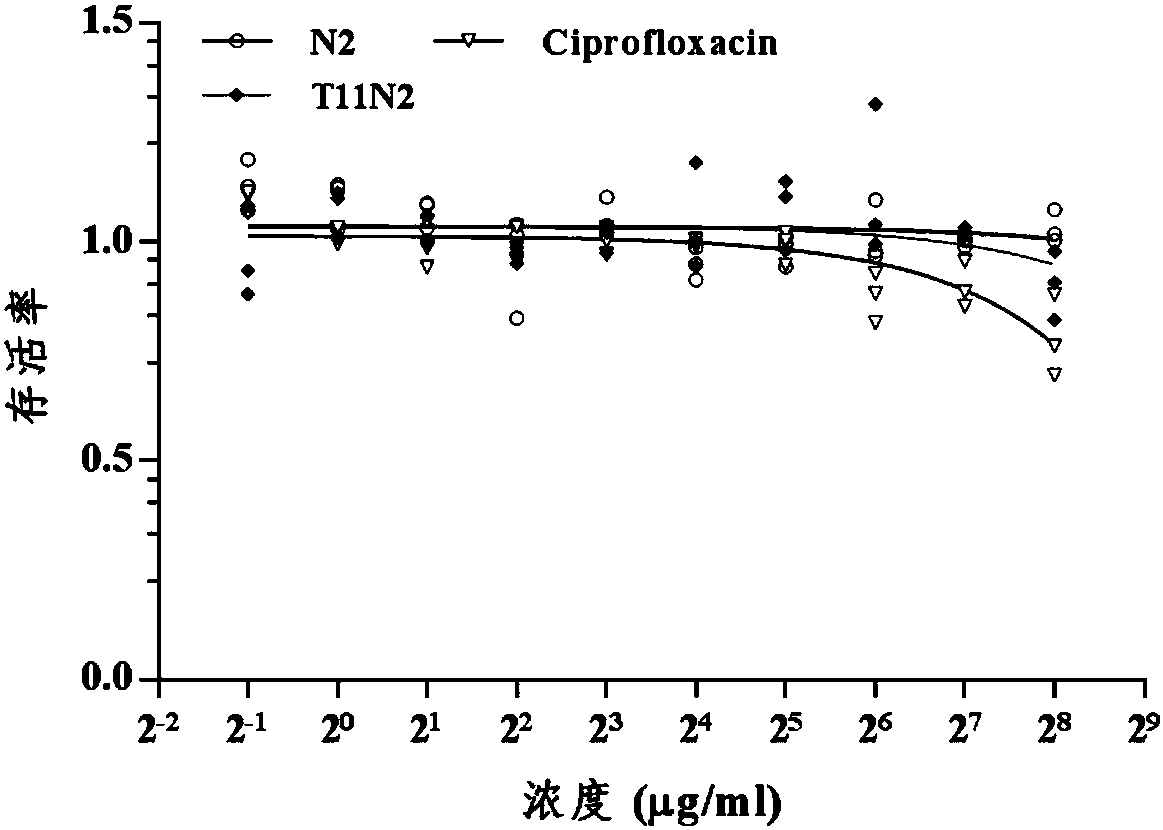 Chimeric antibacterial cell-permeable peptide T11N2 and application thereof