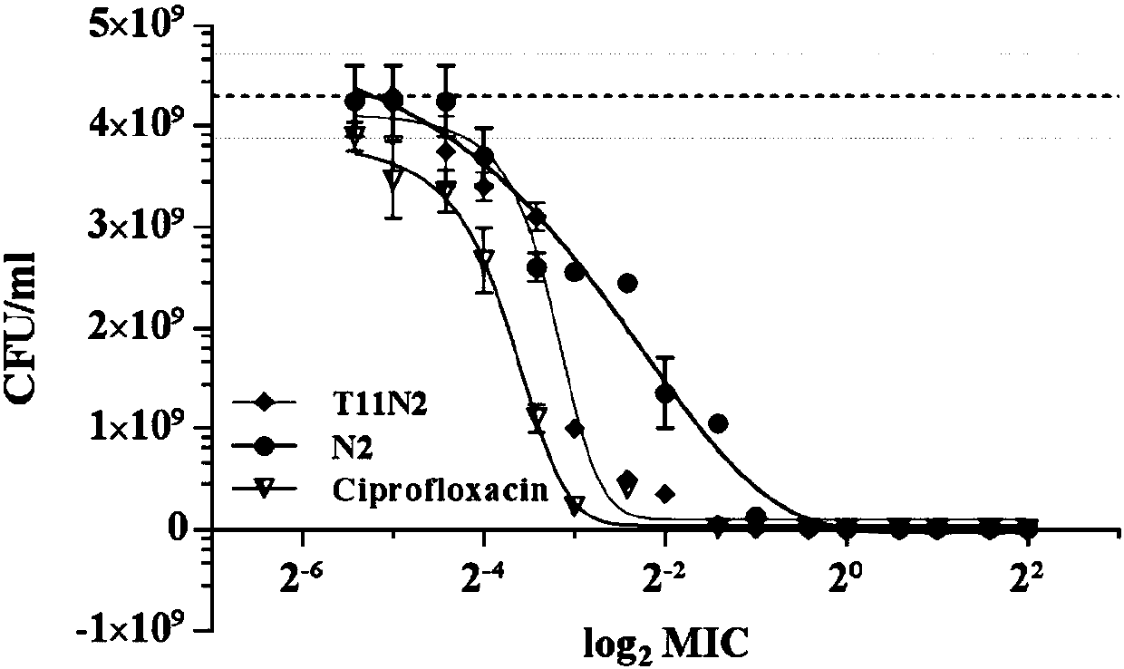 Chimeric antibacterial cell-permeable peptide T11N2 and application thereof